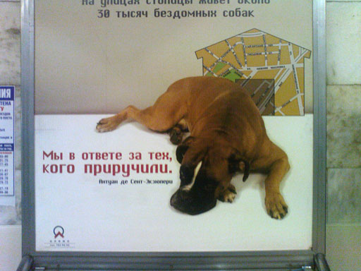 �� � ������ �� ��� ���� ���������