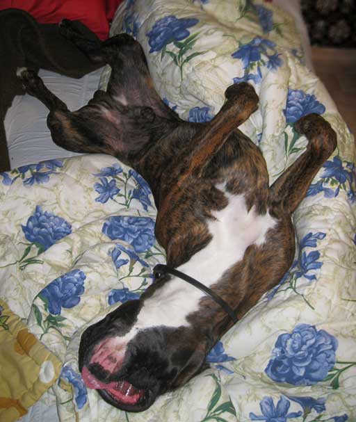 �������� ����� ������ ������