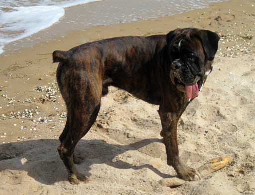 �������� ����� ������ ������