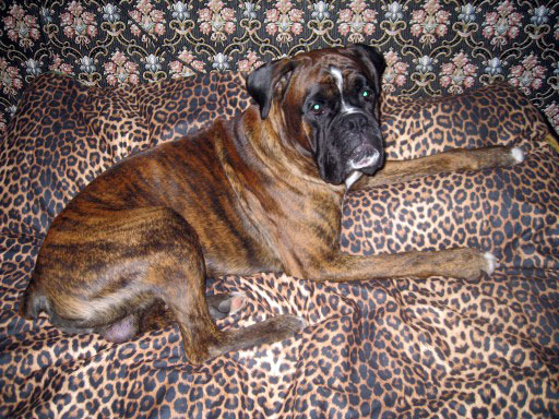 �������� ����� ������ ������ ��������� ����������