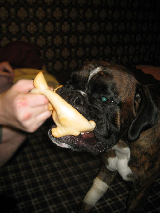 �������� ����� ������ ������ RIP �������� ��������